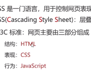CSS学习笔记-基础